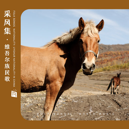 丰满老荡女毛耸耸汇编
