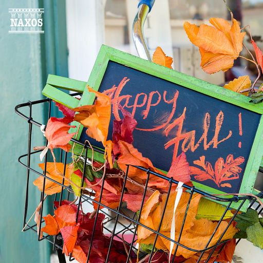 丰满老荡女毛耸耸汇编
